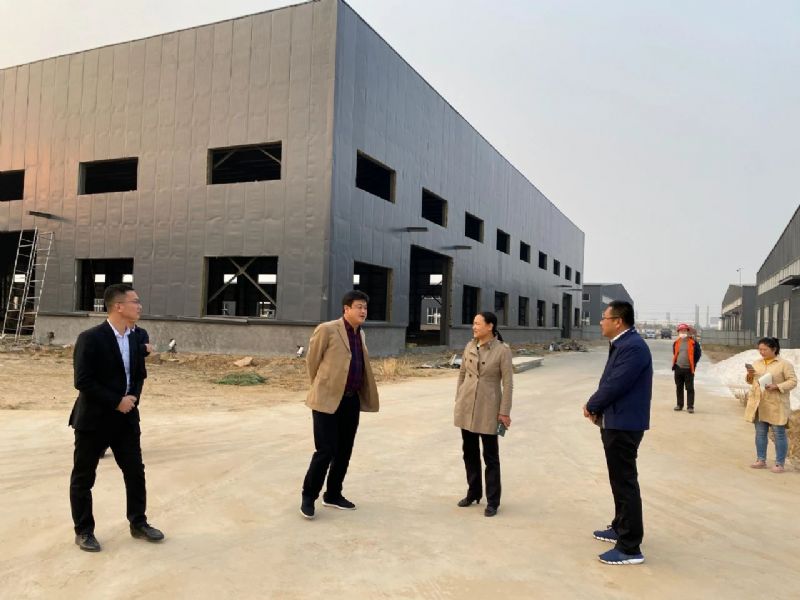 市政府副市長曲偉調(diào)研龍港新材料省重點項目建設情況